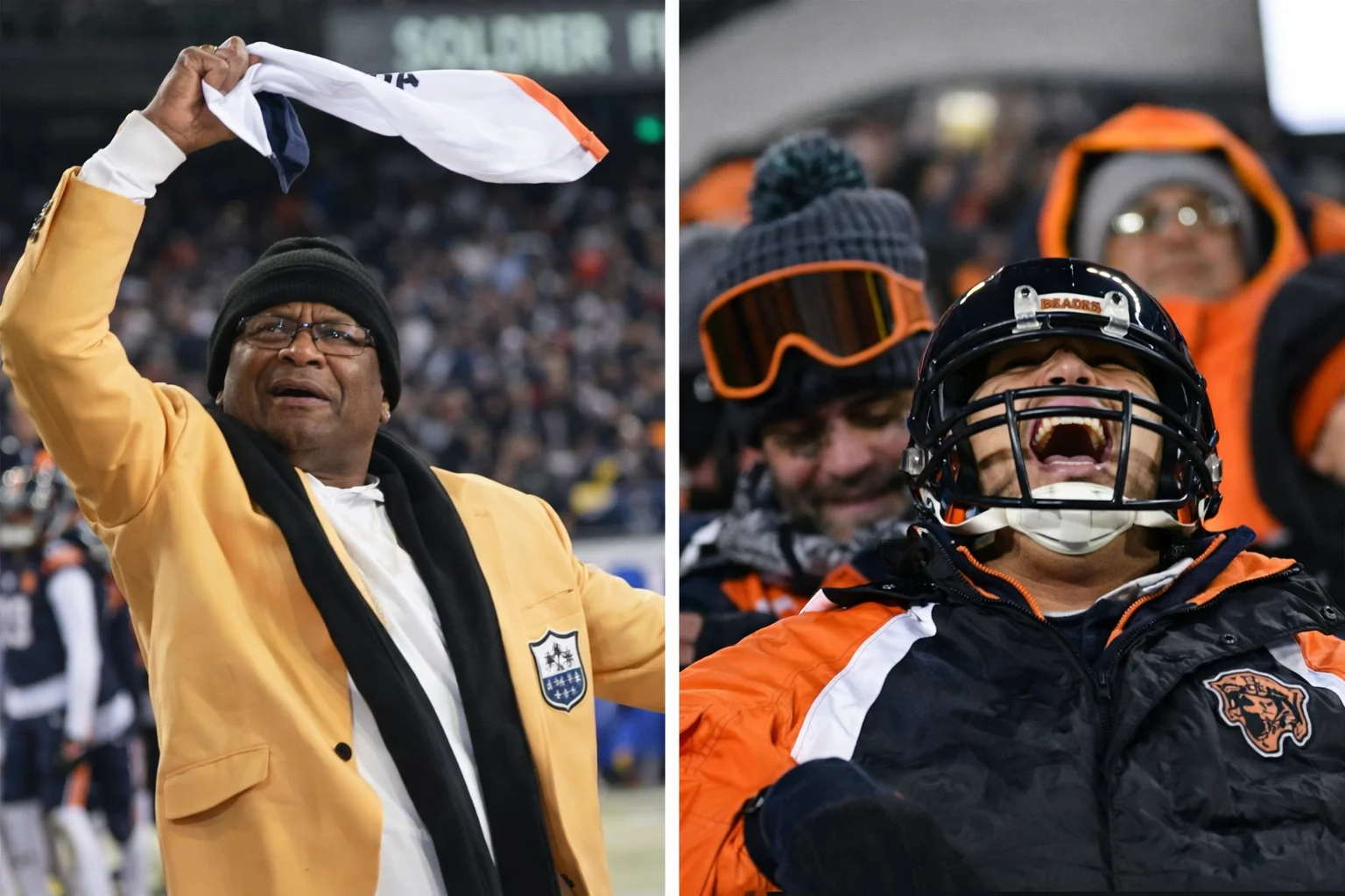 Bears Are Leaving Chicago